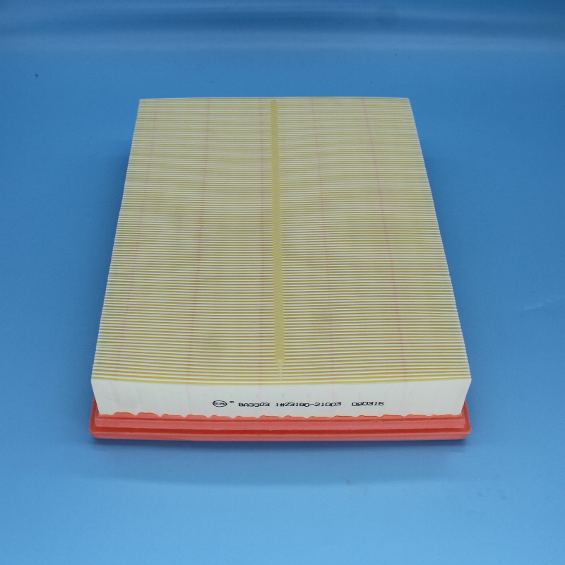 Air Filter-LW-1081B