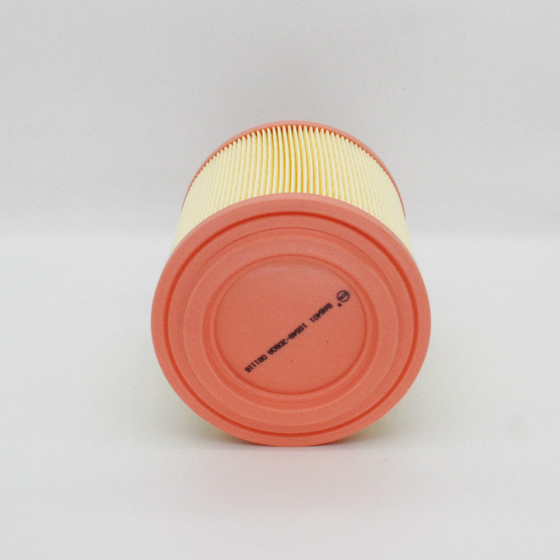 Air Filter-LW-1456