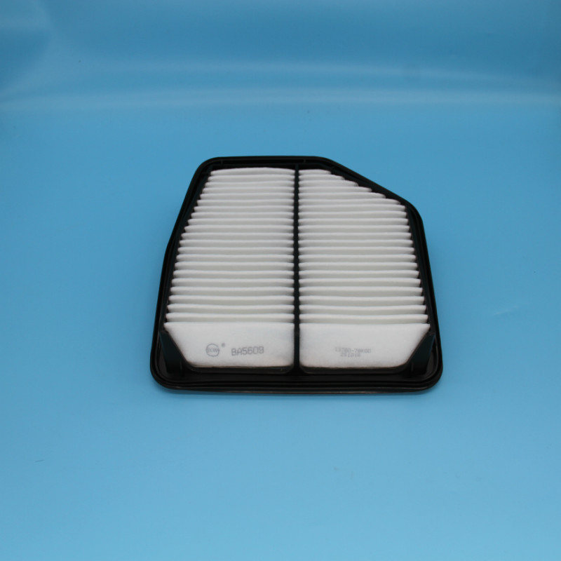 Air Filter-LW-1928