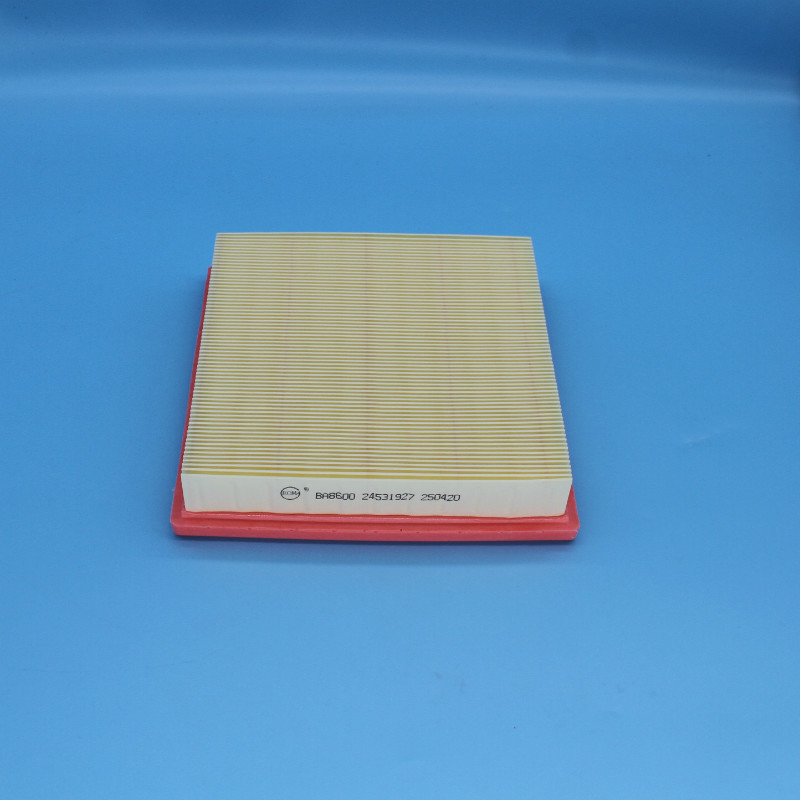 Air Filter-LW-1953
